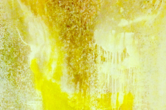 4B40D8EA-B21A-4F54-BDCE-C576F7F2949D_1_105_c